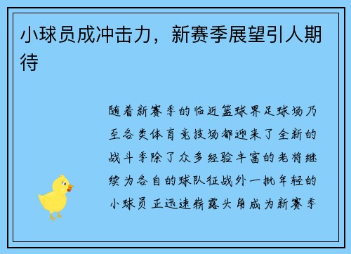 小球员成冲击力，新赛季展望引人期待