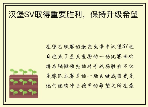 汉堡SV取得重要胜利，保持升级希望
