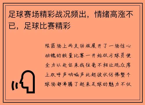 足球赛场精彩战况频出，情绪高涨不已，足球比赛精彩