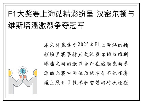 F1大奖赛上海站精彩纷呈 汉密尔顿与维斯塔潘激烈争夺冠军